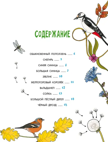 Птицы - фото 8