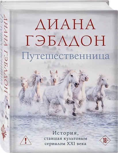 Путешественница - фото 3