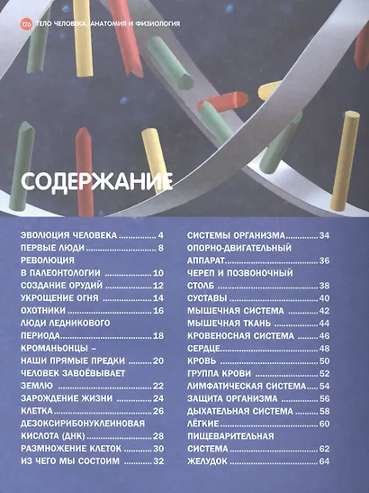 Тело человека. Анатомия и физиология. - фото 2