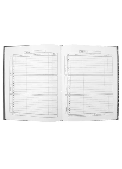 Дневник школьный Феникс+, "Куул" - фото 2