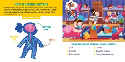 Первые слова малыша. Визуальные словари. Моё тело. Визуальный словарь - фото 7