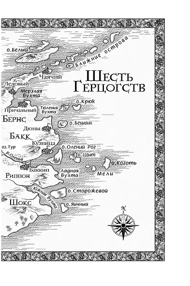 Сага о Видящих. Книга 3. Странствия убийцы - фото 7