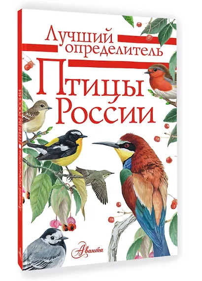 Птицы России - фото 3