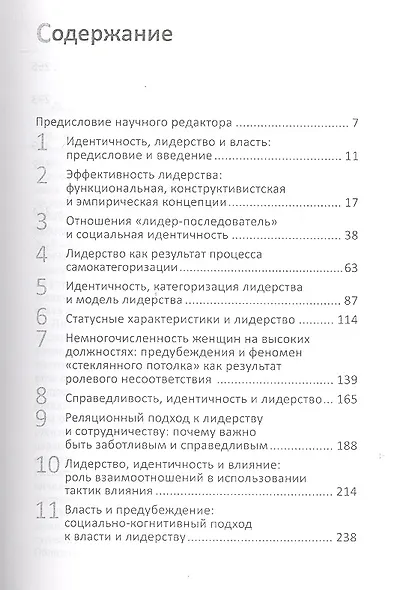 Лидерство и власть. Процессы идентичности в группах и организациях - фото 2