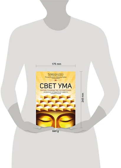 Свет ума. Подробный путеводитель по медитации - фото 9