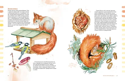 Животные в городе. Где найти и как узнать - фото 14