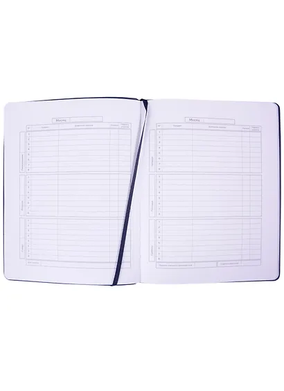 Дневник школьный Феникс+, "Синий" - фото 3