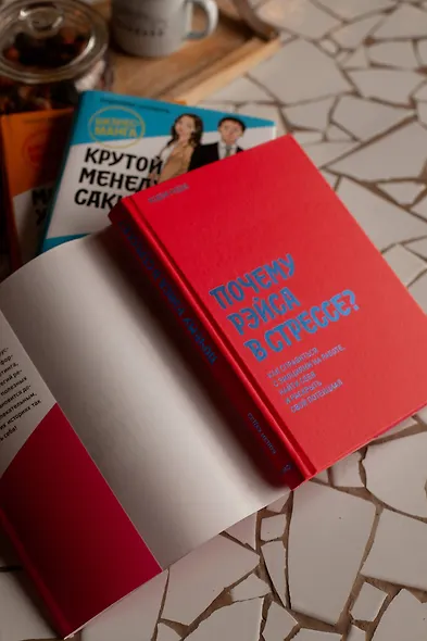 Почему Рэйса в стрессе? Как справиться с эмоциями на работе, найти себя и раскрыть свой потенциал - фото 9