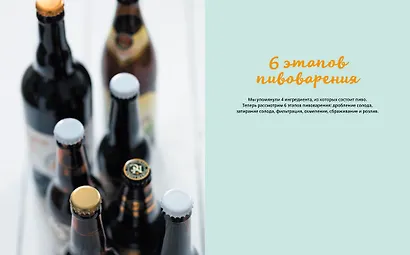 Домашнее пиво. Основные техники приготовления, розлива и хранения - фото 9