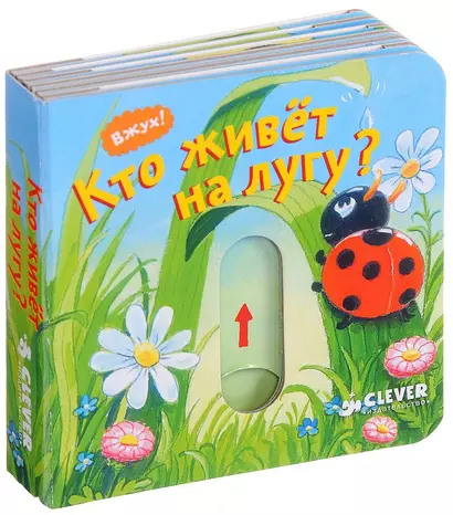 Вжух! Кто живёт на лугу? - фото 1