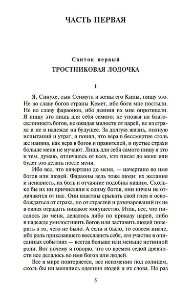 Египтянин - фото 6