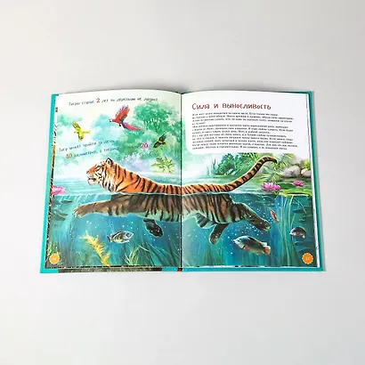 Я Тигр - фото 6