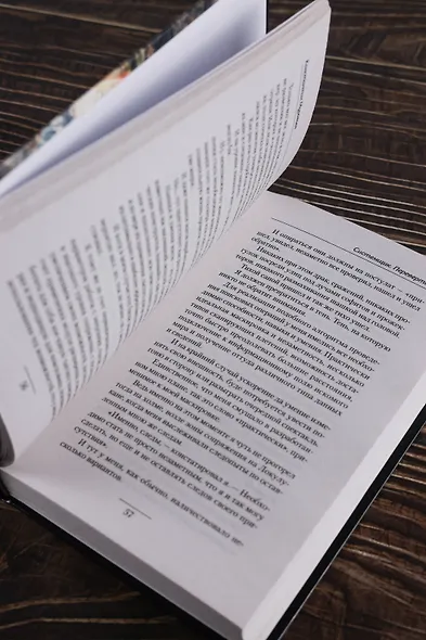 Системщик. Перевертыш - фото 8