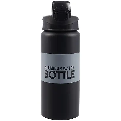 Бутылка Bottle (металл) (600мл) (12-16107-A600-C23) - фото 1