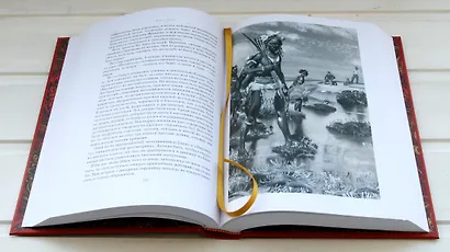 Двадцать тысяч лье под водой - фото 3