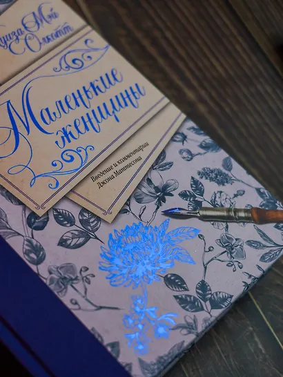 Маленькие женщины. Введение и комментарии Джона Маттесона - фото 11