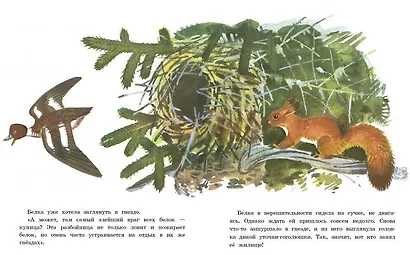 Белочка-хлопотунья - фото 3