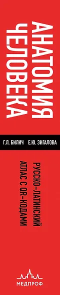 Анатомия человека: Русско-латинский атлас с QR-кодами на цветные изображения - фото 9