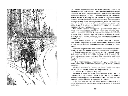 Чёрный Красавчик - фото 9