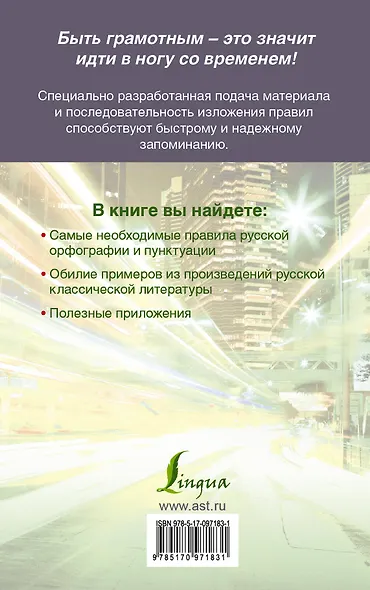 Быстрый русский. Все правила для тех, кто учил, но забыл - фото 2