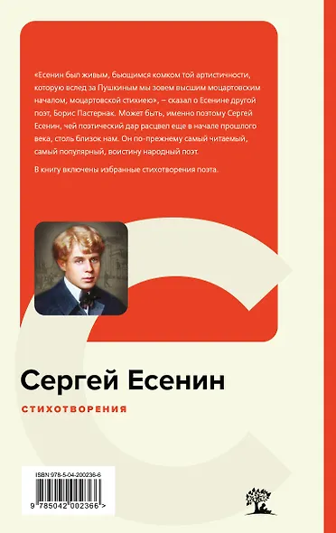 Стихотворения - фото 2