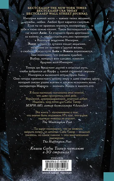 Факел в ночи - фото 2