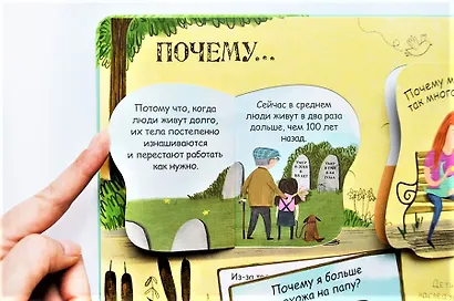 Вопросы и ответы. Я расту. Более 60 секретных створок - фото 5