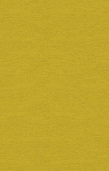 Белый осел в ожидании Спасителя : роман, рассказы - фото 2