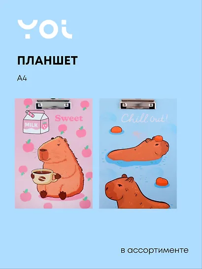 Планшет А4 "Капибары", в ассортименте, Be positive - фото 1