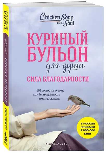Куриный бульон для души: Сила благодарности. 101 история о том, как благодарность меняет жизнь - фото 3