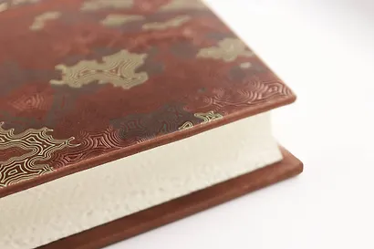 Алексей Ермолов. Коллекционное иллюстрированное издание премиум-класса в кожаном переплете ручной работы с четремя видами тиснения в военном стиле - фото 5