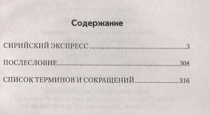 Сирийский  экспресс - фото 2