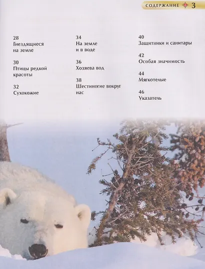 Красная книга России. Детская энциклопедия - фото 7