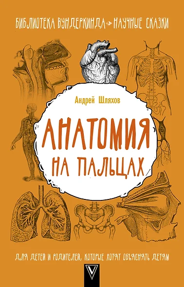 Анатомия на пальцах. Для детей и родителей, которые хотят объяснять детям - фото 1