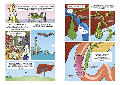Пищеварение. Научный комикс - фото 7