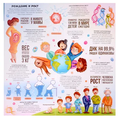 Анатомия : книжка-трансформер - фото 4