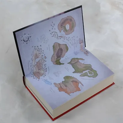 Королева Лис - фото 7