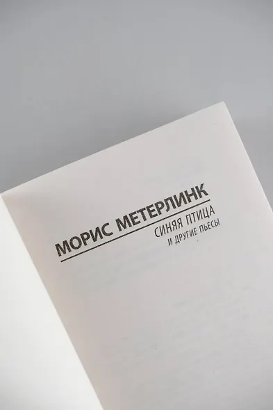 Синяя птица и другие пьесы - фото 6