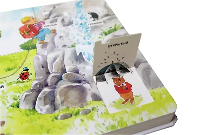 100 окошек-открывай-ка! - фото 10