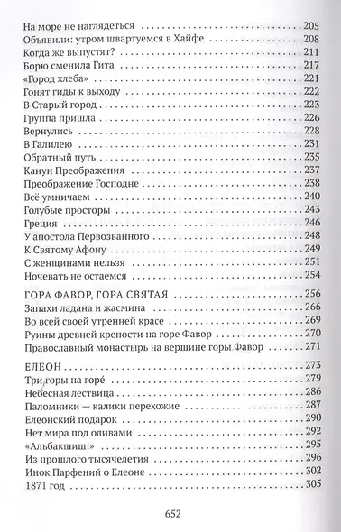 Стояние в молитве. Рассказы о Святой Земле, Афоне, Царьграде - фото 4