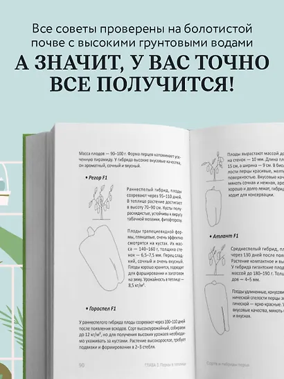 Теплица без ошибок. Все, что нужно знать, чтобы получить ранний и богатый урожай - фото 8