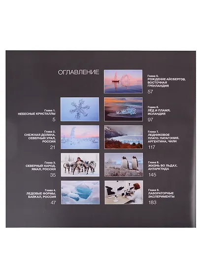 Тайны ледяных кристаллов. От Арктики до Антарктики. Фотоальбом - фото 2