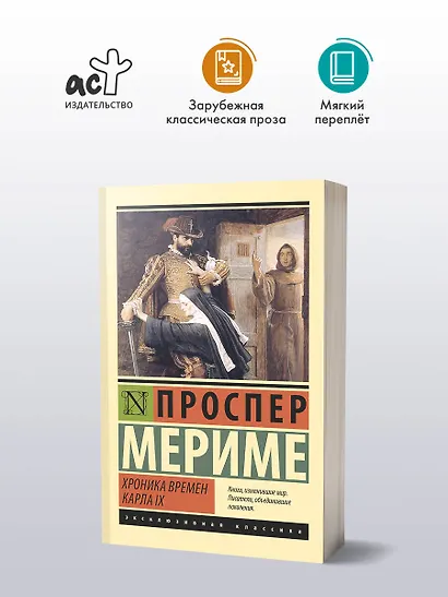 Хроника времен Карла IX - фото 3