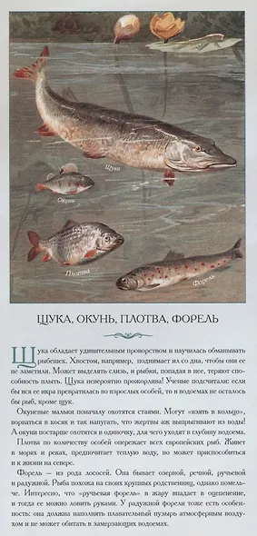 Животные нашей планеты «Обитатели водоемов. Рассказы тех, кто молчит» - фото 2