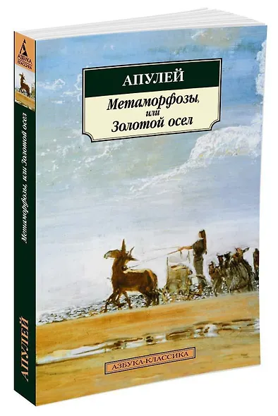 Метаморфозы, или Золотой осел - фото 4