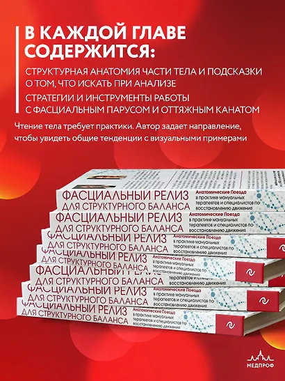 Фасциальный релиз для структурного баланса - фото 6
