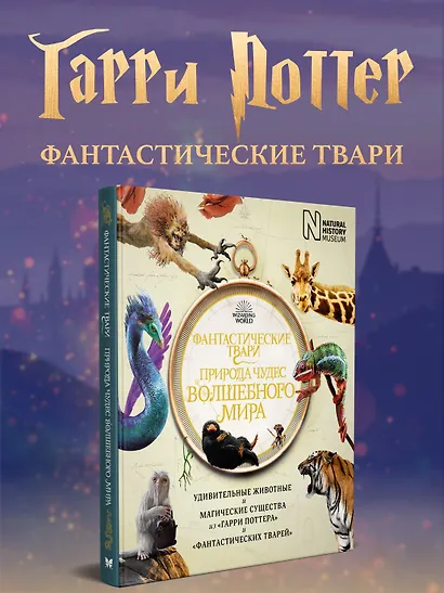 Фантастические твари. Природа чудес волшебного мира - фото 2