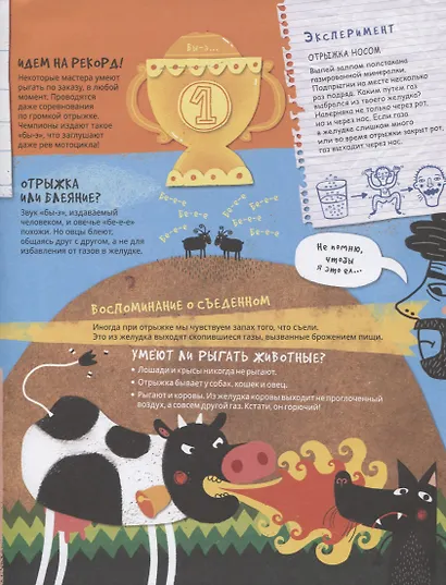 Откуда этот звук? Громкие факты о нашем организме - фото 4