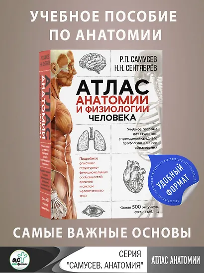Атлас анатомии и физиологии человека. Учебное пособие для студентов учреждений среднего профессионального образования - фото 5