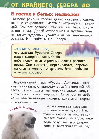 Энциклопедия для детского сада. Чудеса родной природы - фото 3